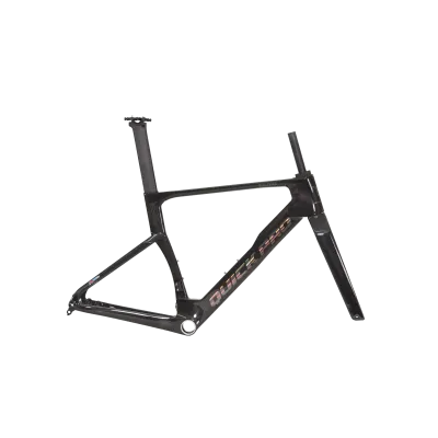 Quick Pro ER:ONE FRAME – Aerodynamic Carbon Road Bike Frame