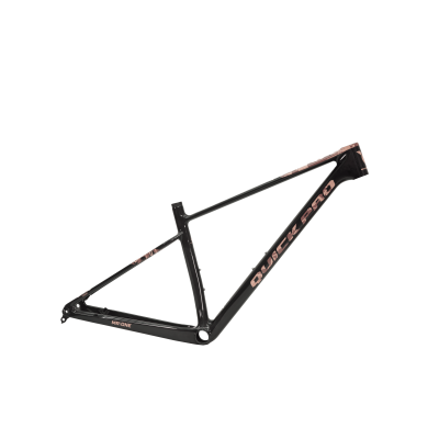 Quick Pro MR:ONE FRAME – Cadre Route Carbone Léger & Polyvalent