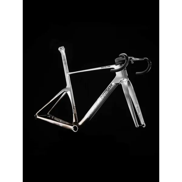 INCOLOR SSR Frameset – Aero & Endurance Carbon Road Frame