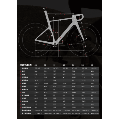 INCOLOR SSR Frameset – Cadre Route Carbone Aéro & Endurance