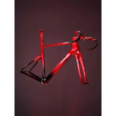 INCOLOR Custom Speedster SSR Frameset – Aero Carbon Road Frame