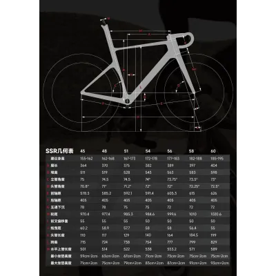 INCOLOR Custom Speedster SSR Frameset – Aero Carbon Road Frame