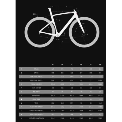 INCOLOR Intropy Speedster SR Frameset – Lightweight Aero Carbon