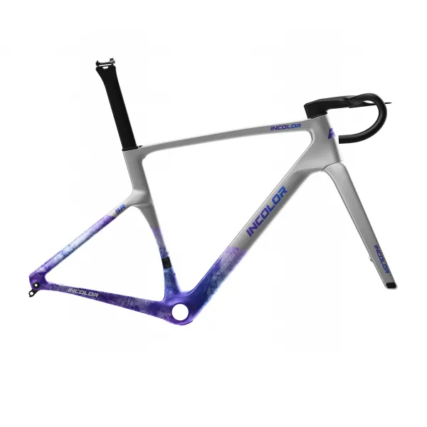 INCOLOR Intropy Speedster SR Road Frameset – Aero Carbon