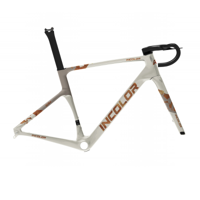 Cadre route INCOLOR Intropy Speedster SR – carbone aéro léger