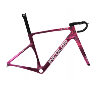 INCOLOR Intropy Speedster SR Frameset – Lightweight Aero Carbon