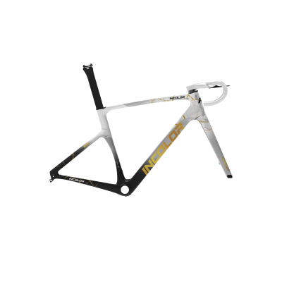 Cadre route INCOLOR Intropy Speedster SR – carbone aéro léger