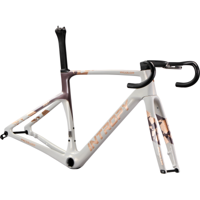 INCOLOR Intropy Speedster SR+ – Ultra-Light Carbon Road Frameset