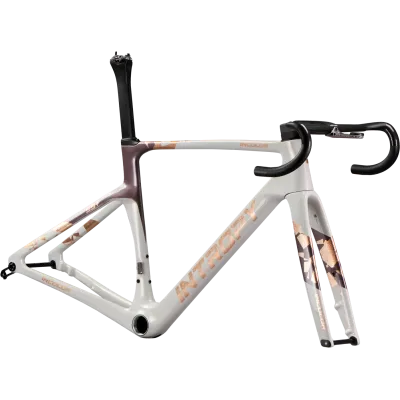 INCOLOR Intropy Speedster SR+ – Ultra-Light Carbon Road Frameset