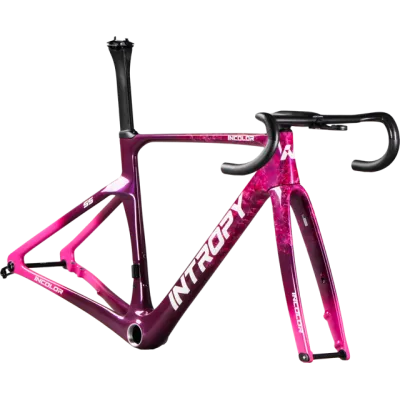 INCOLOR Intropy Speedster SR+ – Ultra-Light Carbon Road Frameset