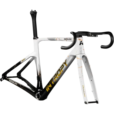INCOLOR Intropy Speedster SR+ – Cadre Route Carbone Ultra-Léger